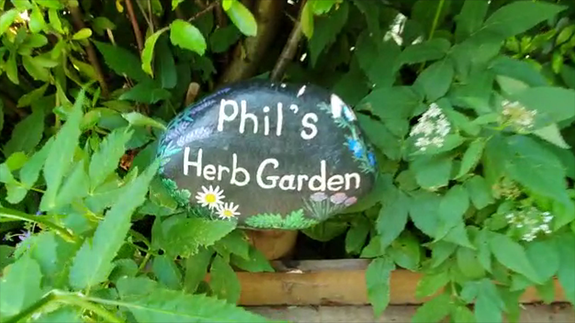 Philip Porter herb garden at Northycote Farm, Wolverhampton